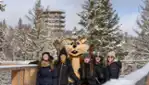 The tree top walk, the perfect place to marvel at the beauty of winter