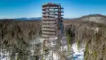 The tree top walk, the perfect place to marvel at the beauty of winter