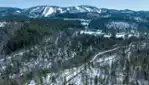 The tree top walk, the perfect place to marvel at the beauty of winter