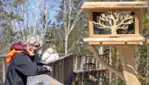 The tree top walk, the perfect place to marvel at the beauty of winter