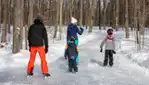 Parc Régional Bois de Belle Rivière