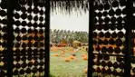 Citrouilleville, U-pick pumpkins, corn and straw maze, several photobooths!