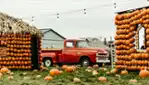 Citrouilleville, U-pick pumpkins, corn and straw maze, several photobooths!