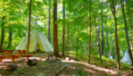 Parc Omega: accommodation in communion with nature