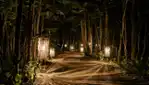 Onhwa' Lumina - Enchanted night walk