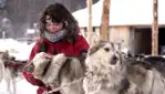 Kinadapt - dog sledding & outdoor training center