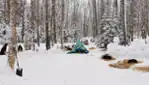 Kinadapt - dog sledding & outdoor training center