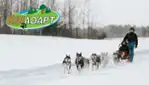 Kinadapt - dog sledding & outdoor training center