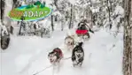 Kinadapt - dog sledding & outdoor training center