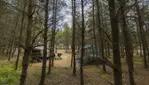 Campsites in the forest - Matawinie Parks 