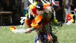 Wendake International Pow Wow - Indigenous Experience 