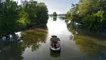 Nautical excursion in the heart of the Lac Saint-Pierre archipelago 