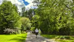 Dorwin Falls Park - Rawdon