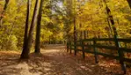 Dorwin Falls Park - Rawdon