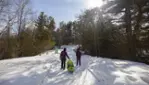 Dorwin Falls Park - Rawdon