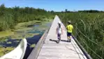 Lake Saint-François Wildlife Area - The Great Migrators