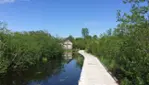 Lake Saint-François Wildlife Area - The Great Migrators