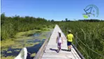 Lake Saint-François Wildlife Area - The Great Migrators