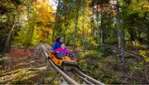 Celebrate the colors of fall at Sommet Saint-Sauveur from September 14 to October 27, 2024