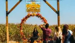 Citrouilleville, U-pick pumpkins, corn and straw maze, several photobooths!