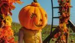 Citrouilleville, U-pick pumpkins, corn and straw maze, several photobooths!