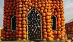 Citrouilleville, U-pick pumpkins, corn and straw maze, several photobooths!