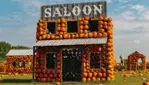 Citrouilleville, U-pick pumpkins, corn and straw maze, several photobooths!