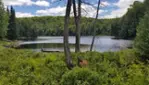 Forêt-la-Blanche Ecological Reserve