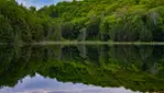 Forêt-la-Blanche Ecological Reserve