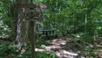 Forêt-la-Blanche Ecological Reserve