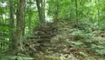 Forêt-la-Blanche Ecological Reserve