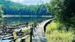 Forêt-la-Blanche Ecological Reserve