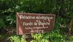 Forêt-la-Blanche Ecological Reserve