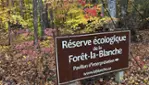 Forêt-la-Blanche Ecological Reserve