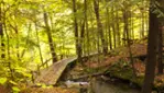 Forêt-la-Blanche Ecological Reserve