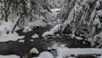 Forêt-la-Blanche Ecological Reserve