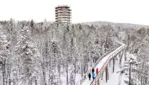 The tree top walk, the perfect place to marvel at the beauty of winter