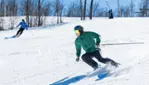Camp Fortune - Ski, Coaster, Aerial Park and Ziplines
