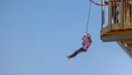Camp Fortune - Ski, Coaster, Aerial Park and Ziplines