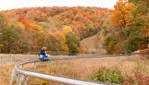 Camp Fortune - Ski, Coaster, Aerial Park and Ziplines