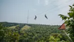 Camp Fortune - Ski, Coaster, Aerial Park and Ziplines
