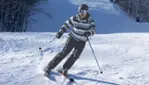 Camp Fortune - Ski, Coaster, Aerial Park and Ziplines