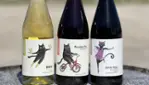 Le Chat Botté Winery and Cidery - Tastings & Harvests