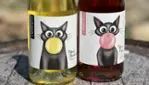 Le Chat Botté Winery and Cidery - Tastings & Harvests