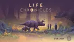 Life Chronicles - immersive-experience at the Old Port