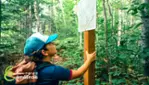Parc nature Emélinois - Lodging - Camping - Outdoors activities