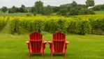 Cortellino Winery - A Corner of Italy in Montérégie