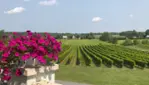 Cortellino Winery - A Corner of Italy in Montérégie