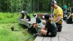 Guepe - Quebec Adventure outdoor