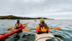 Vacances Essipit - Whale Watching Cruises & Sea Kayaking 